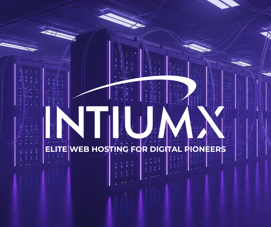 Privacy and Security at Intiumx